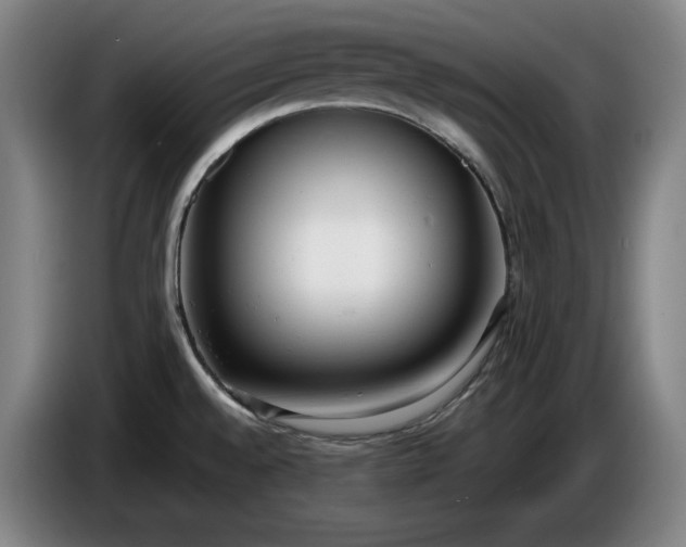 X0000085791528200703301440