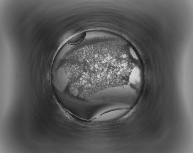 X0000085791529200703301440