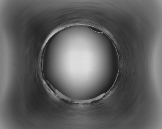X0000085791530200703301440