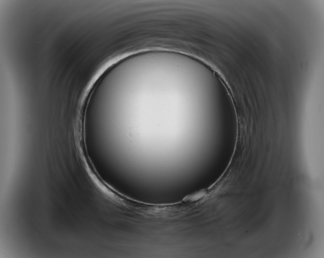 X0000085791531200703301440