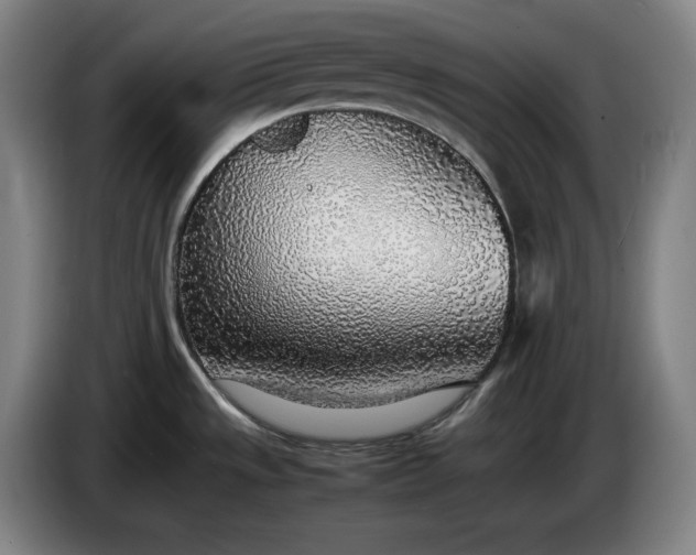 X0000085791533200703301440