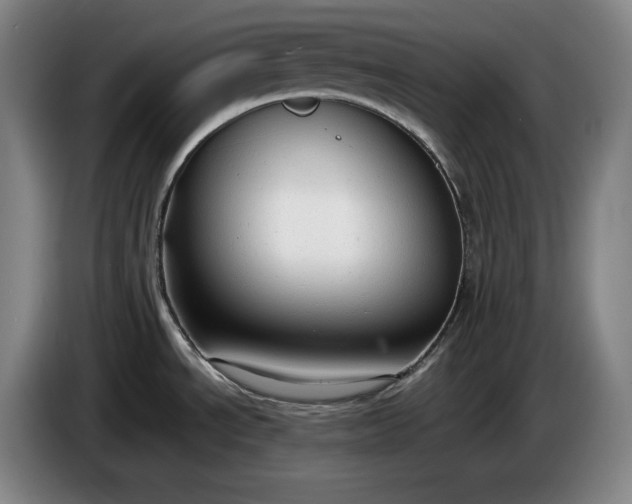 X0000085791534200703301440