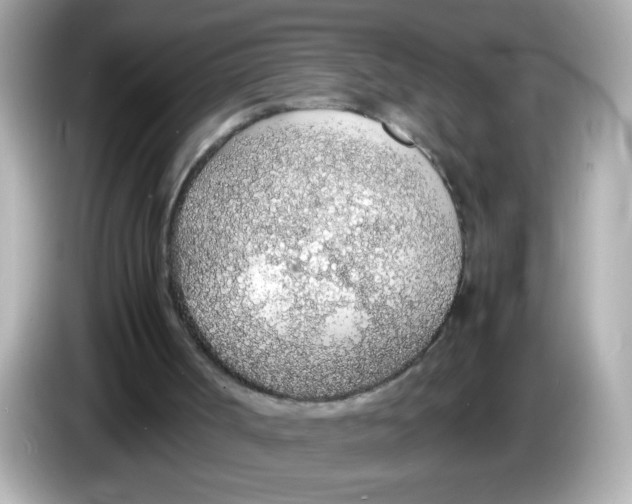 X0000085790002200704091439