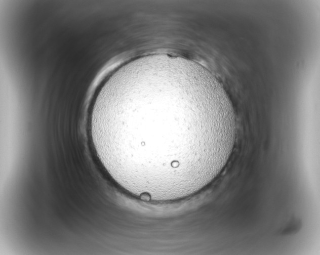 X0000085790006200704091439