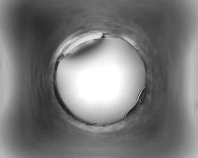 X0000085790007200704091439