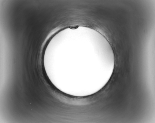 X0000085790008200704091439