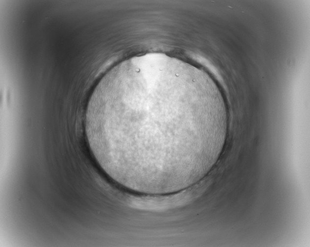 X0000085790009200704091439