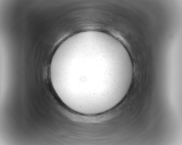 X0000085790010200704091439