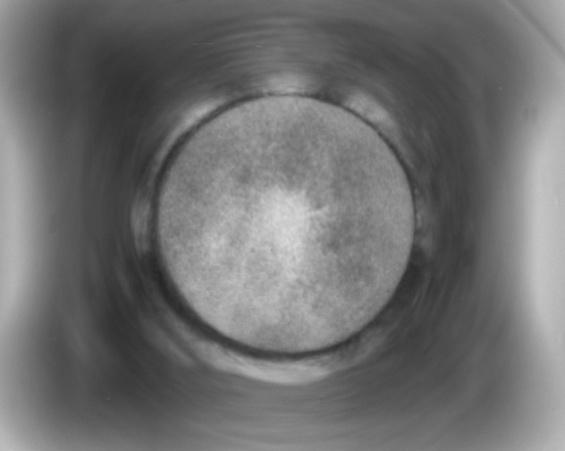 X0000085790012200704091439
