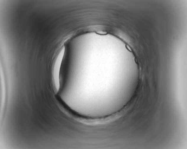 X0000085790013200704091439