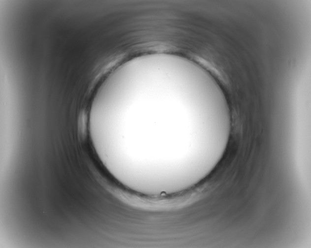 X0000085790014200704091439