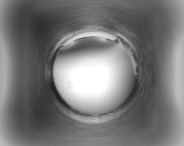 X0000085790015200704091439