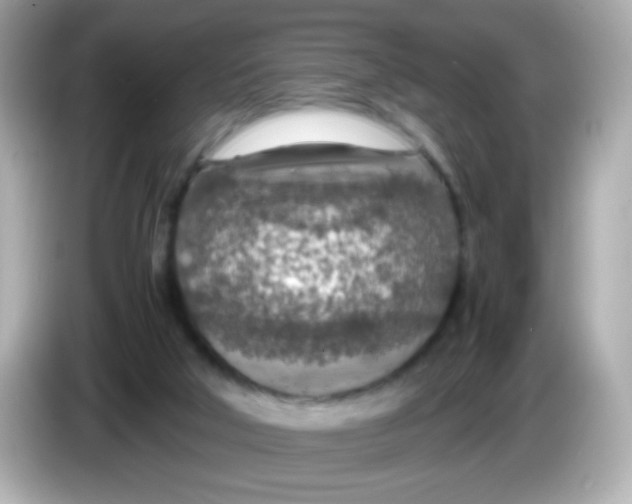 X0000085790018200704091439