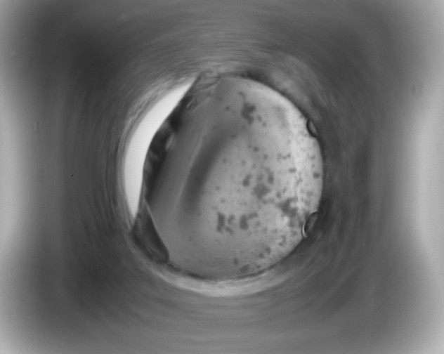X0000085790019200704091439