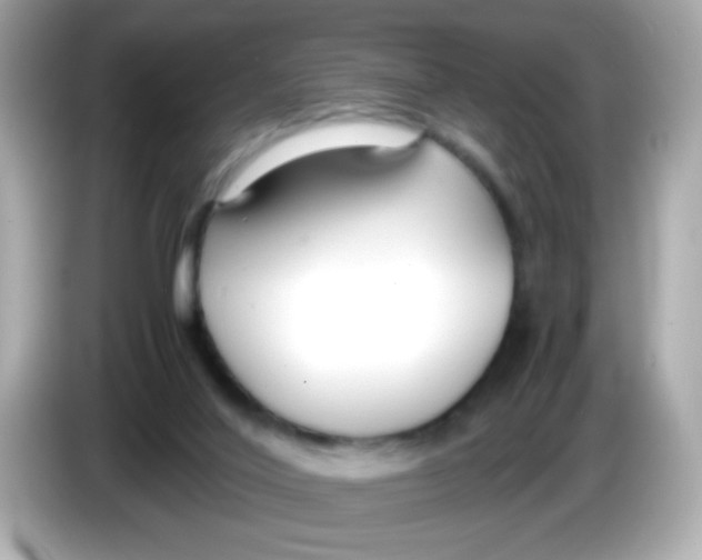 X0000085790020200704091439