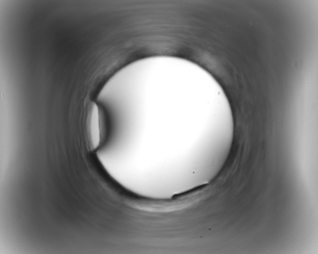 X0000085790021200704091439