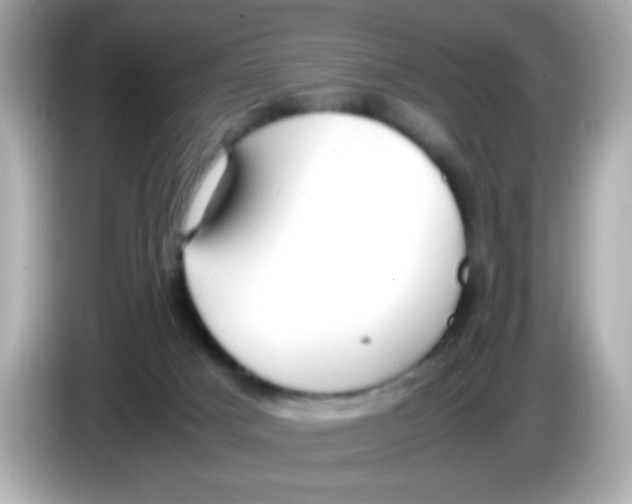 X0000085790025200704091438