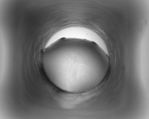 X0000085790029200704091438