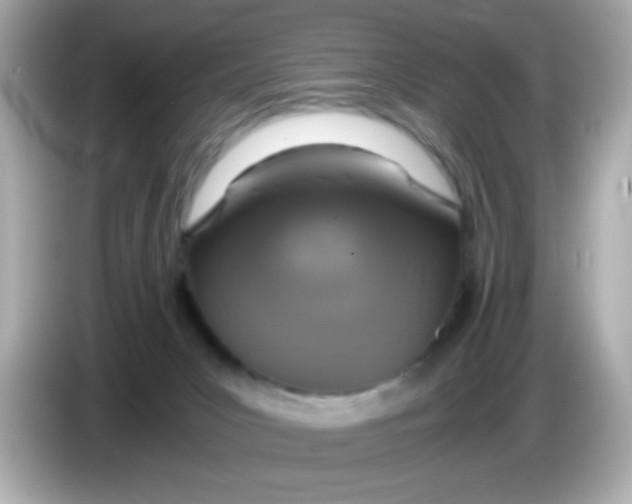 X0000085790031200704091438