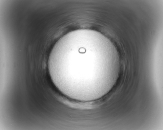 X0000085790032200704091438