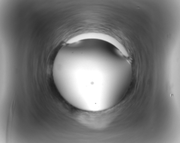 X0000085790033200704091438