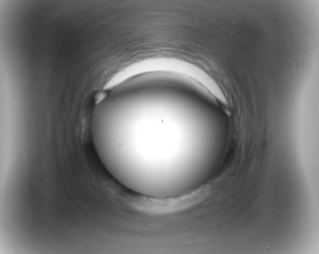 X0000085790037200704091438