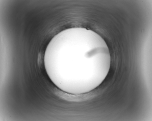 X0000085790038200704091438