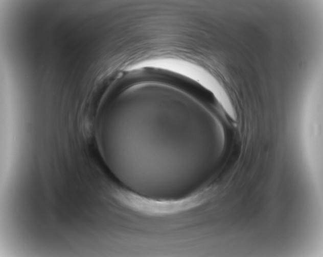 X0000085790039200704091438