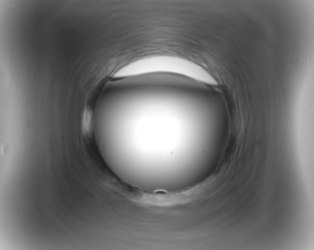 X0000085790041200704091438