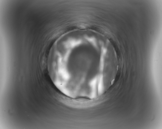 X0000085790043200704091438