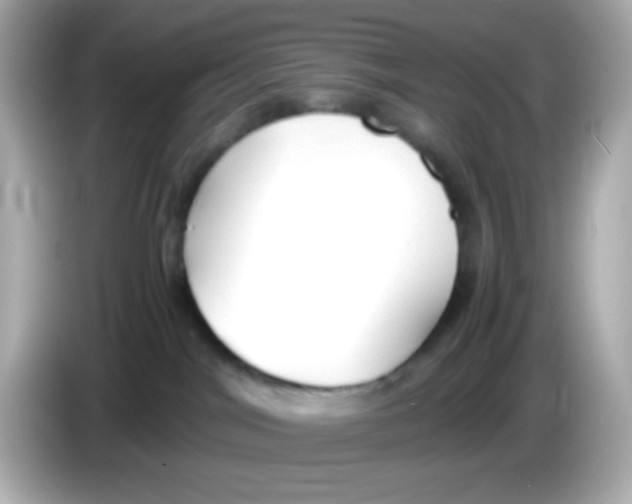 X0000085790044200704091438