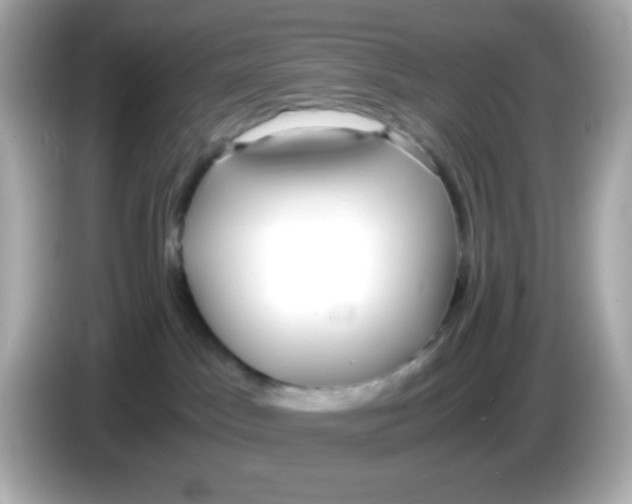 X0000085790045200704091438