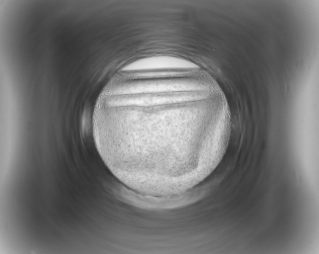 X0000085790046200704091438