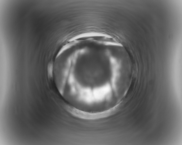 X0000085790047200704091438