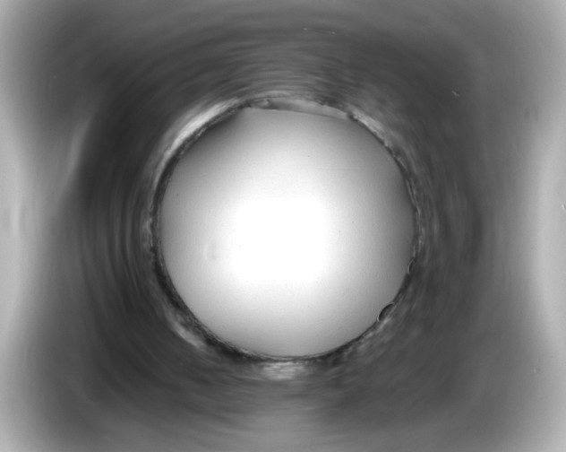X0000085790050200704091438