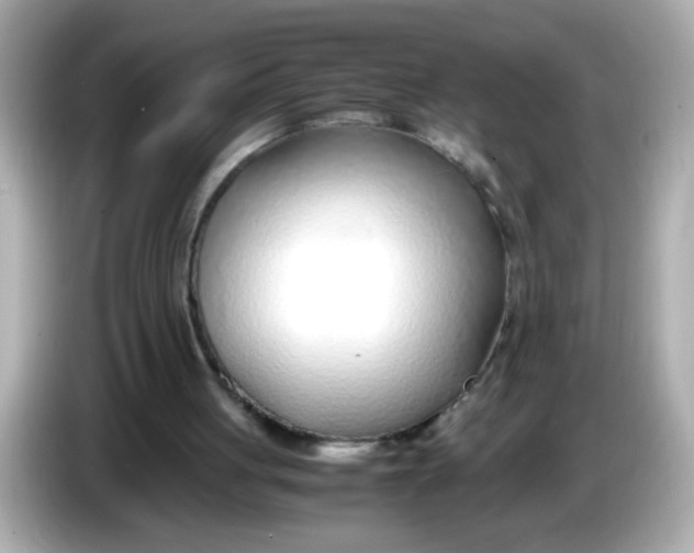 X0000085790051200704091438