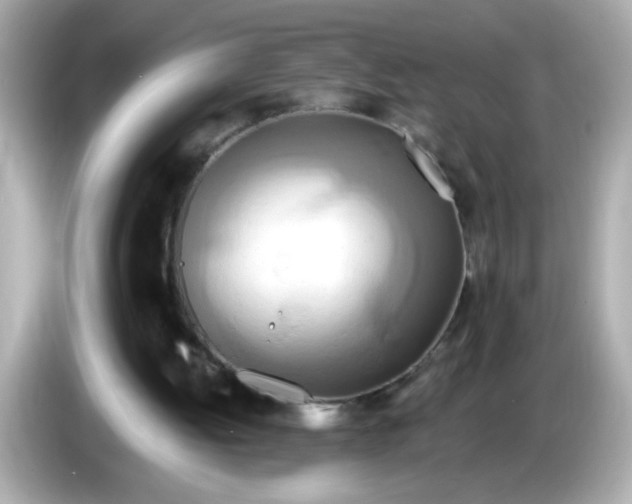 X0000085790052200704091438