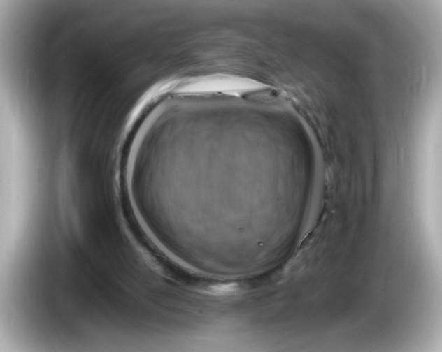 X0000085790054200704091438