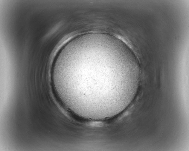 X0000085790055200704091438