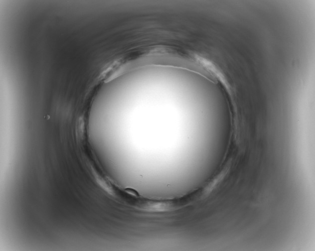 X0000085790057200704091438