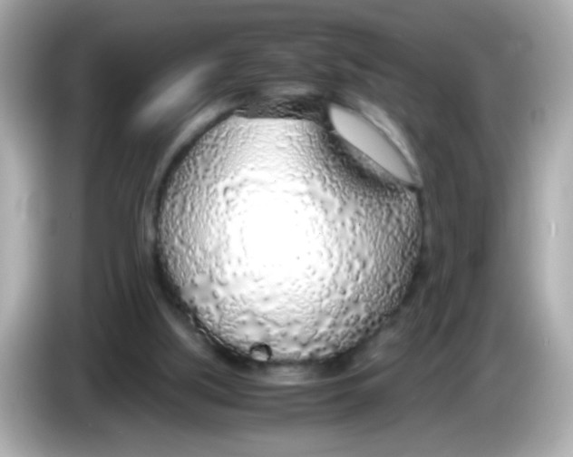 X0000085790059200704091438