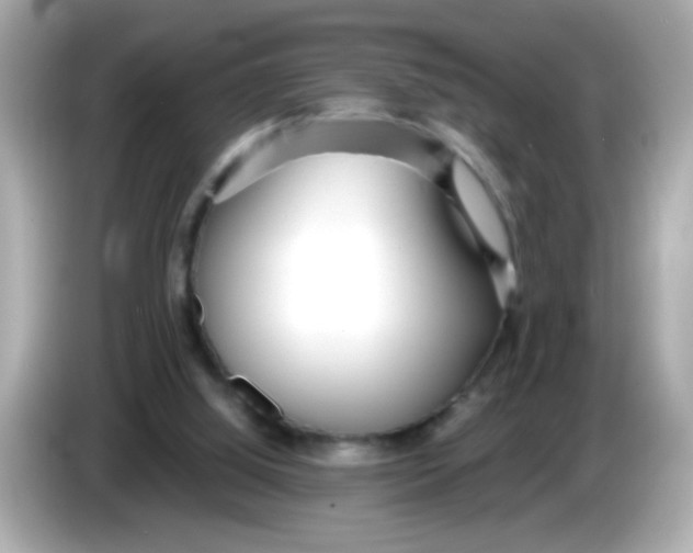 X0000085790060200704091438