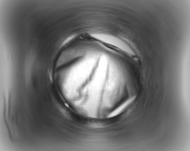 X0000085790062200704091438
