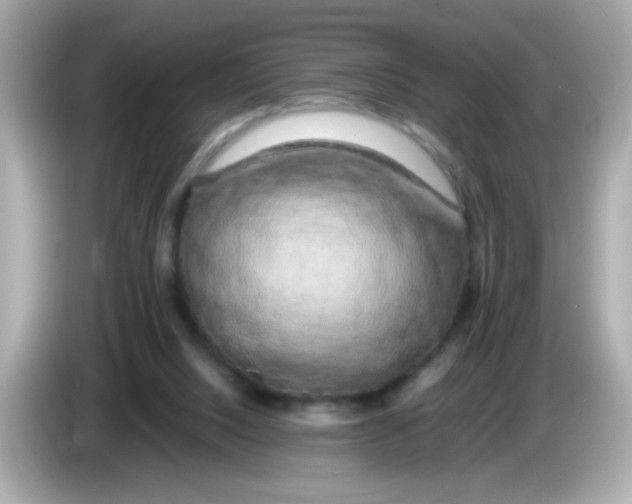 X0000085790064200704091438