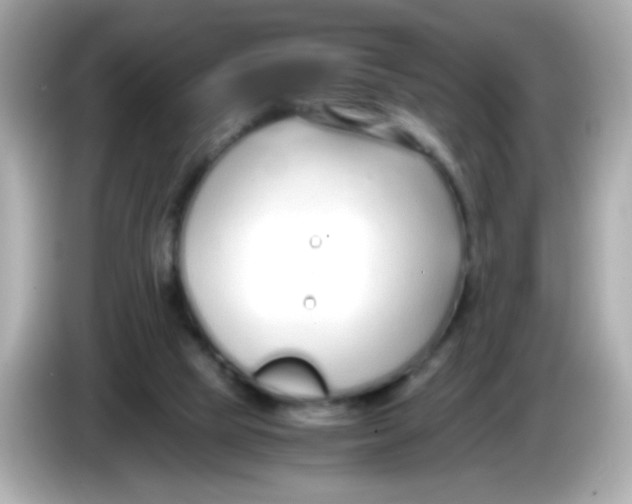 X0000085790065200704091438