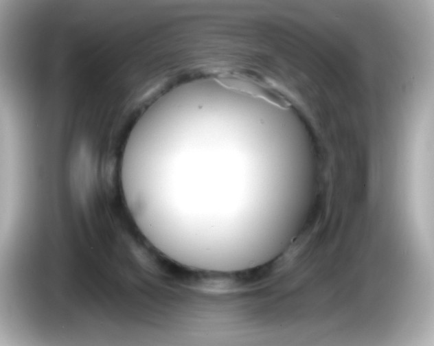 X0000085790066200704091438