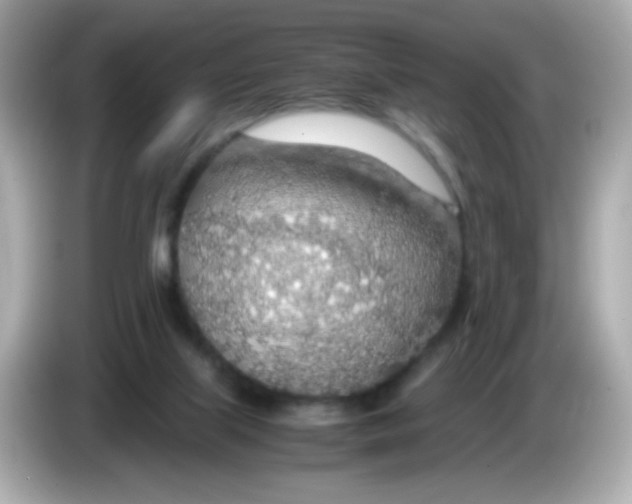 X0000085790067200704091438