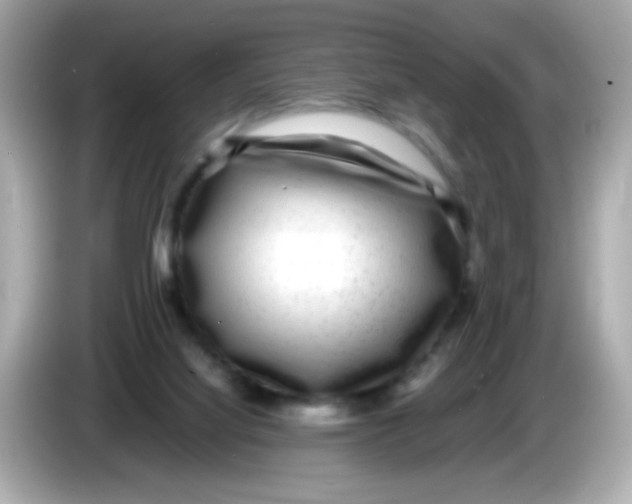 X0000085790068200704091438