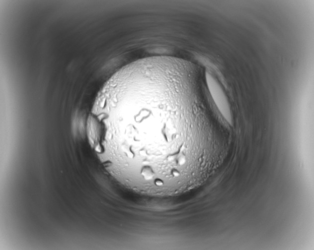 X0000085790069200704091438