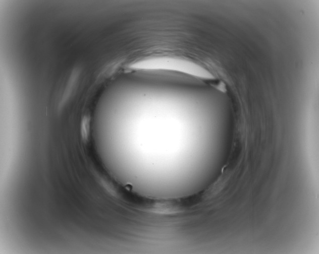 X0000085790070200704091438